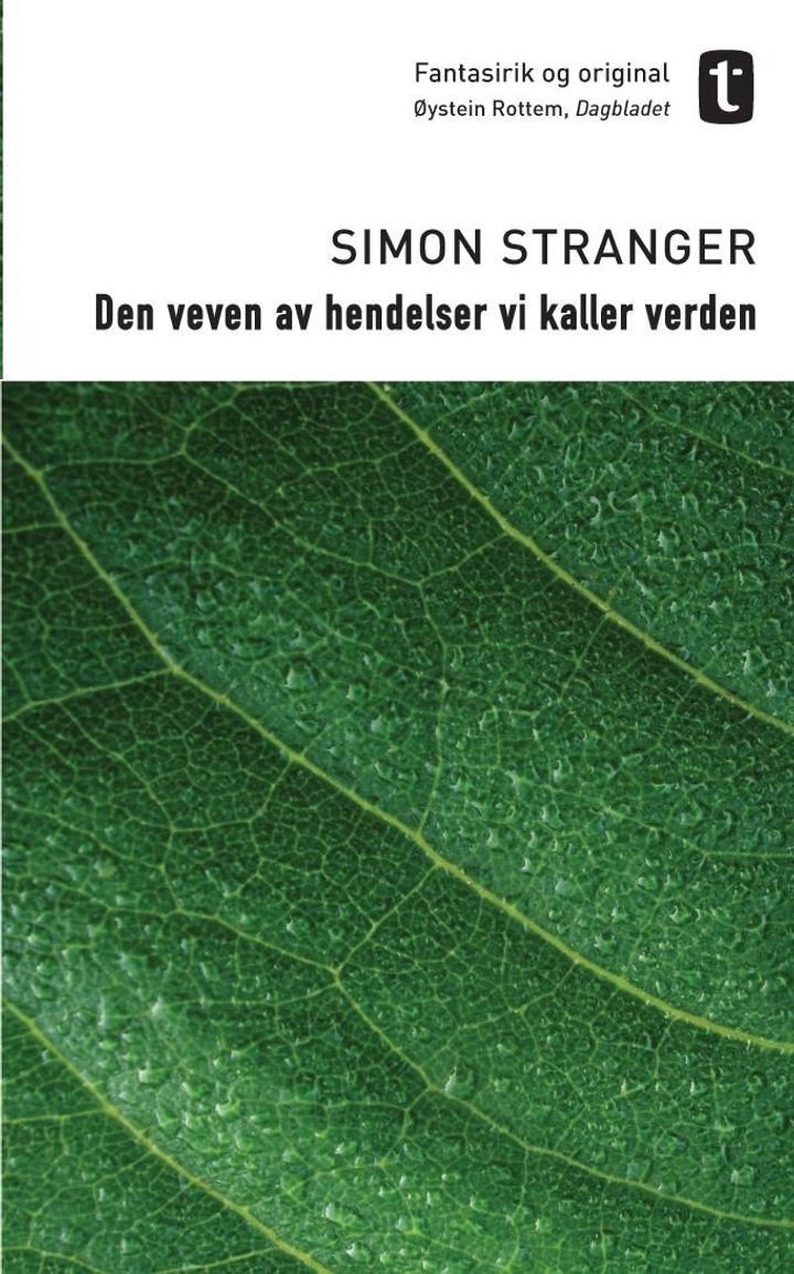 Den veven av hendelser vi kaller verden - roman