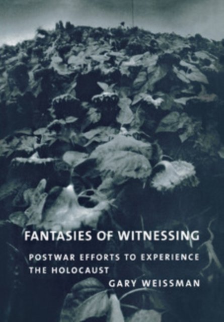 Fantasies of Witnessing