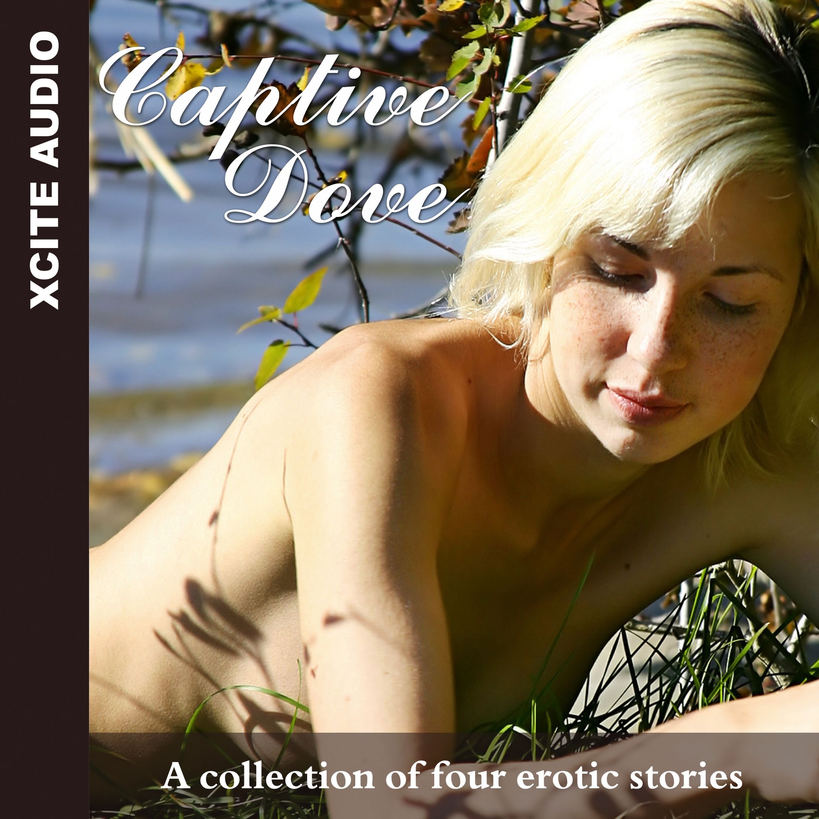 Captive Dove