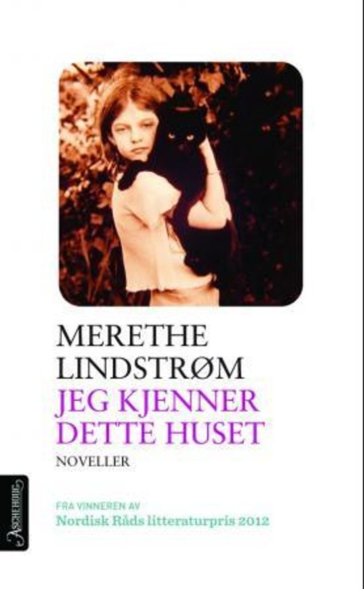 Jeg kjenner dette huset - noveller
