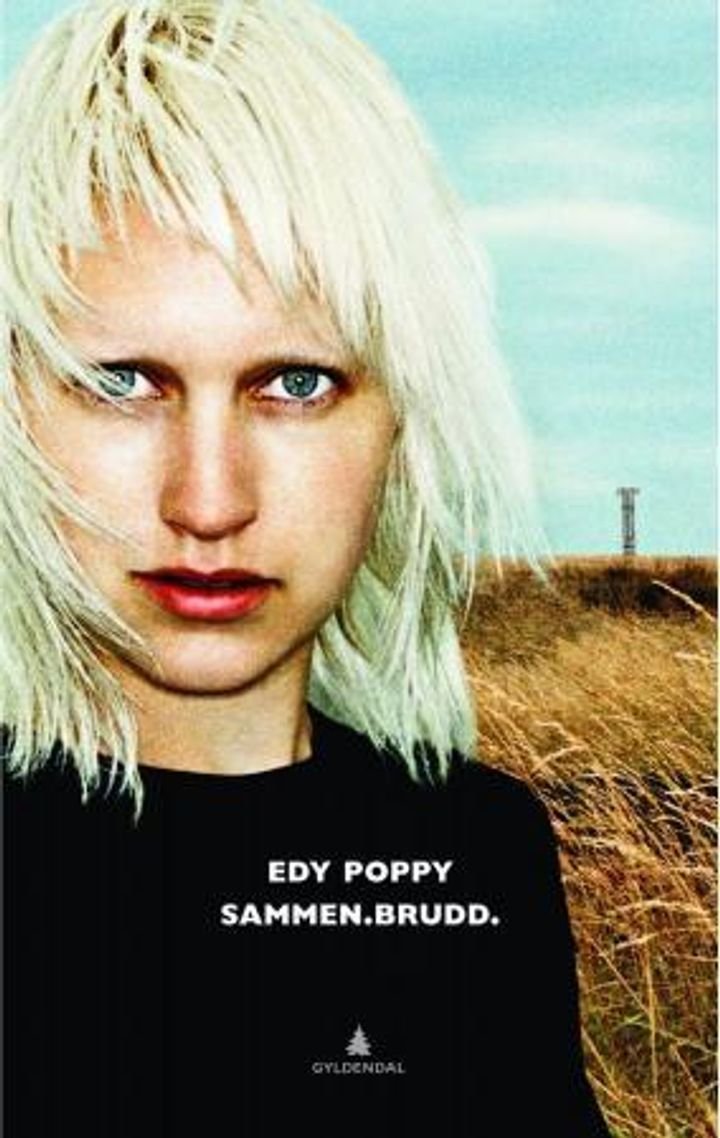 Sammen. Brudd - noveller