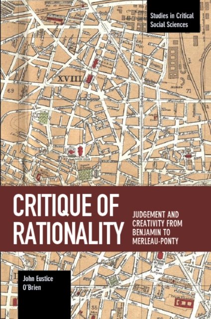 Critique of Rationality