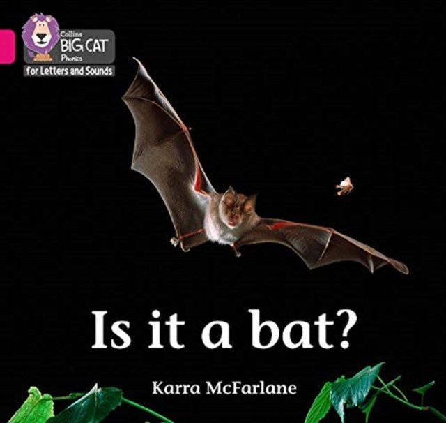 BIG CAT L&S_IS IT A BAT