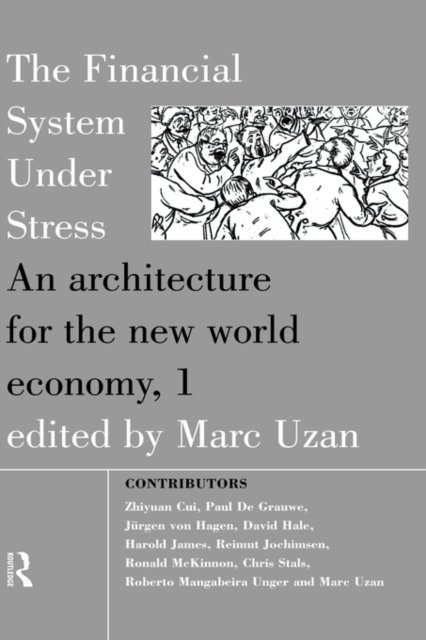 The Financial System Under Stress