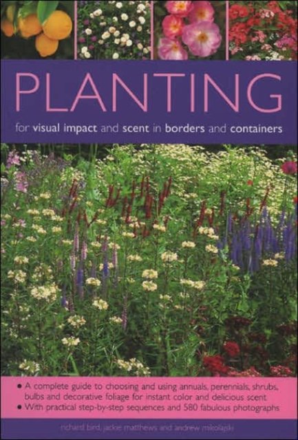 Planting for Visual Impact & Scent in Borders & Containers