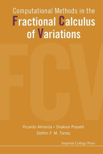 Computational Methods In The Fractional Calculus Of Variations