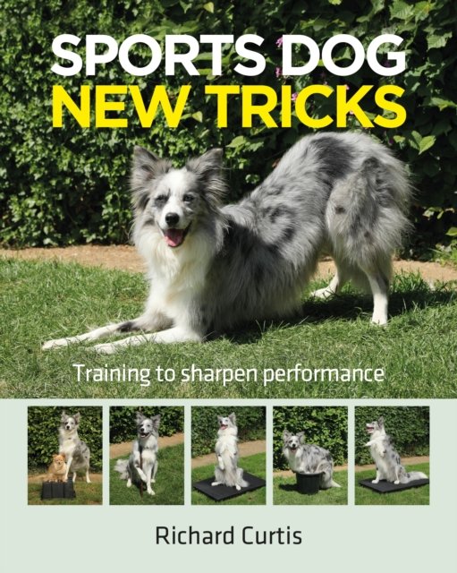 Sports Dog New Tricks