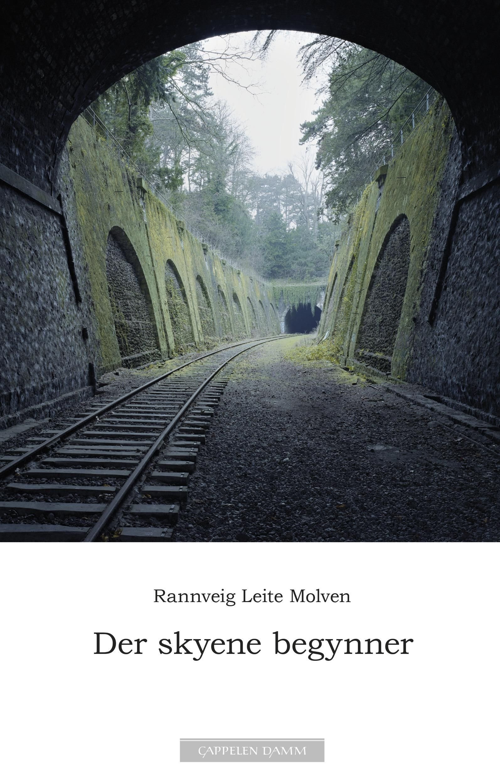 Der skyene begynner - roman