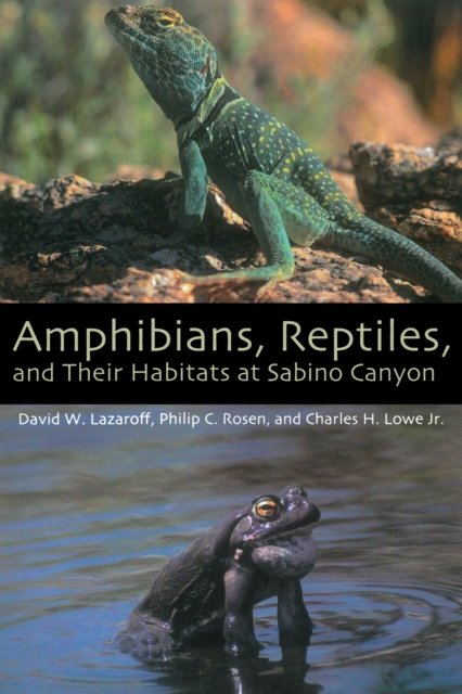 Amphibians, Reptiles, and Their Habitats at Sabino Canyon