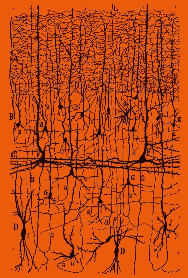 Parapoetica