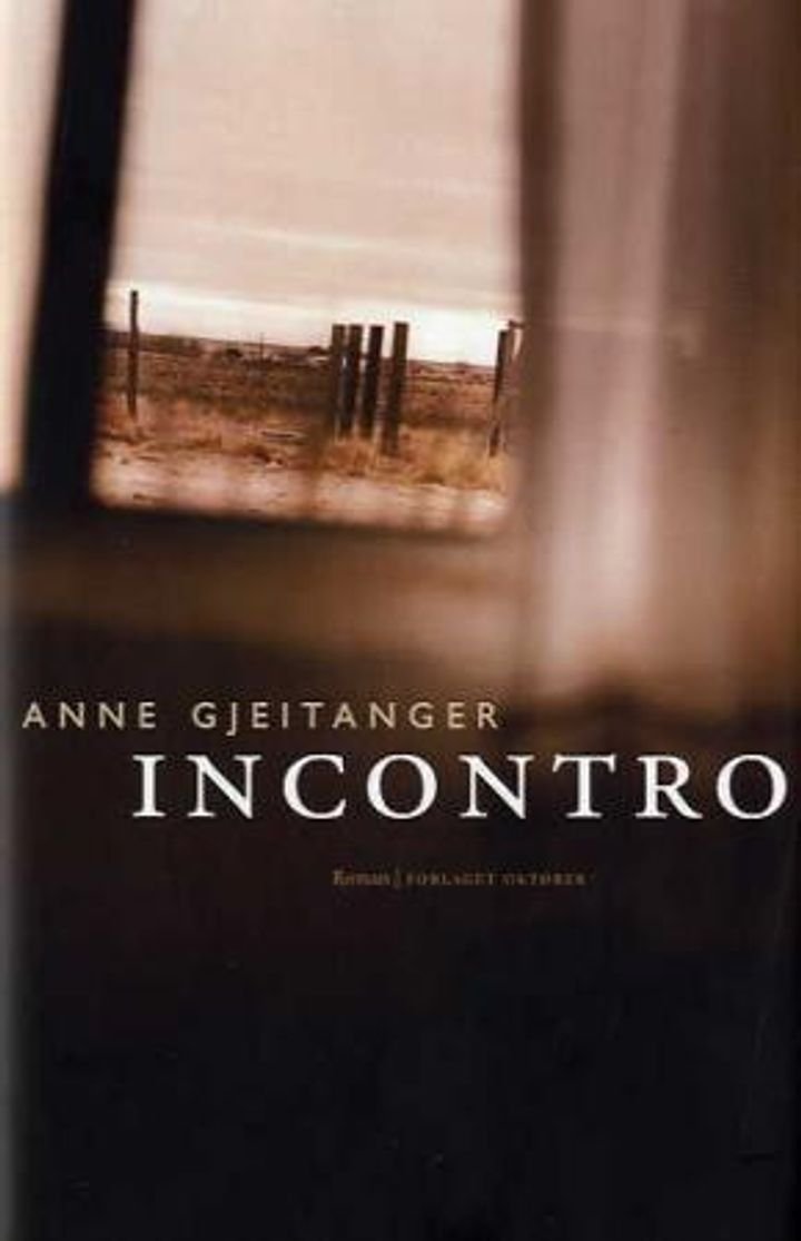Incontro - roman