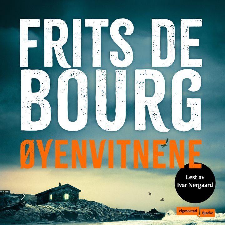 Øyenvitnene - en Nicolay Wolff-roman