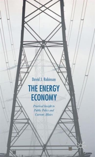 The Energy Economy
