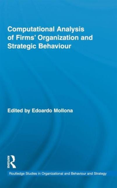 Computational Analysis of Firms’ Organization and Strategic Behaviour
