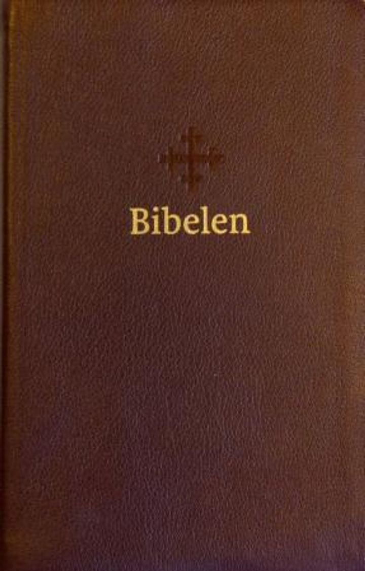 Bibelen - Den hellige skrift : Det gamle og Det nye testamentet
