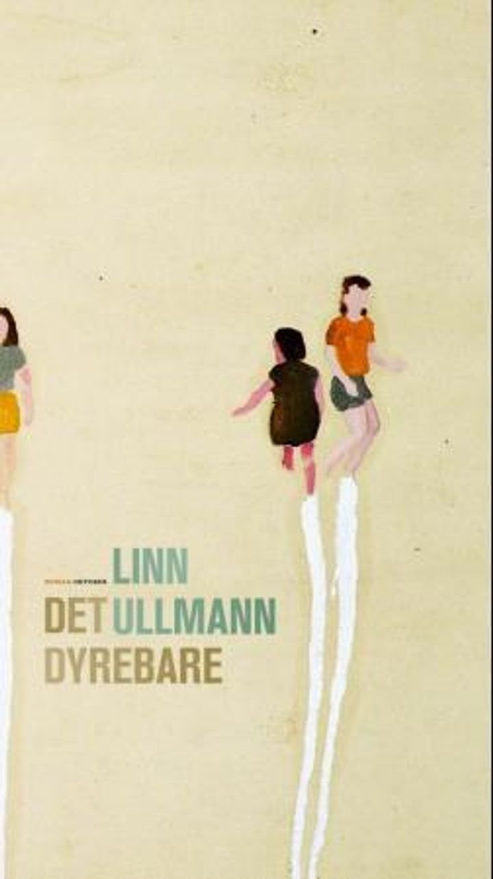 Det dyrebare - roman
