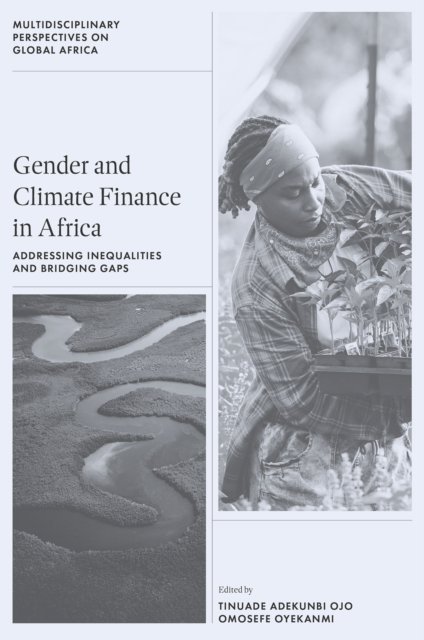 Gender and Climate Finance in Africa