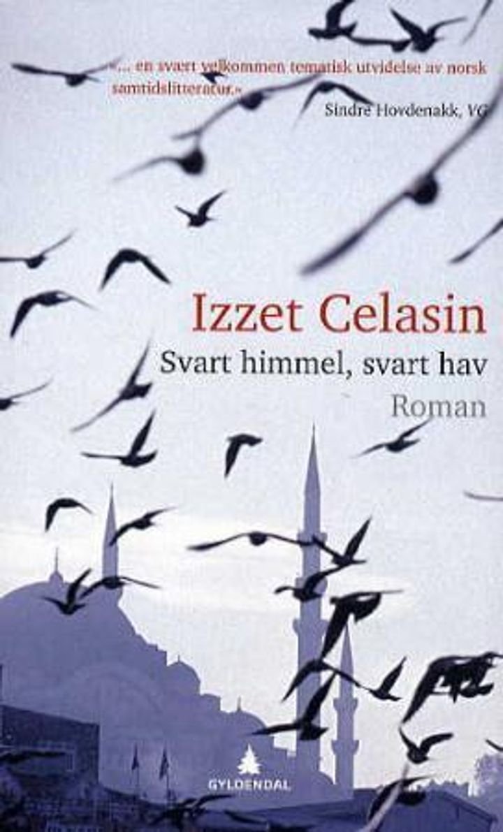 Svart himmel, svart hav - roman