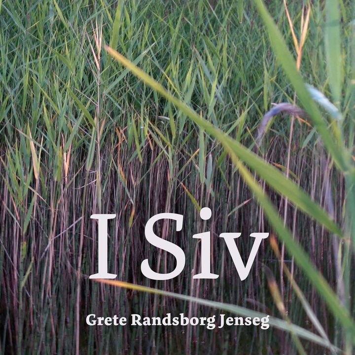 I siv