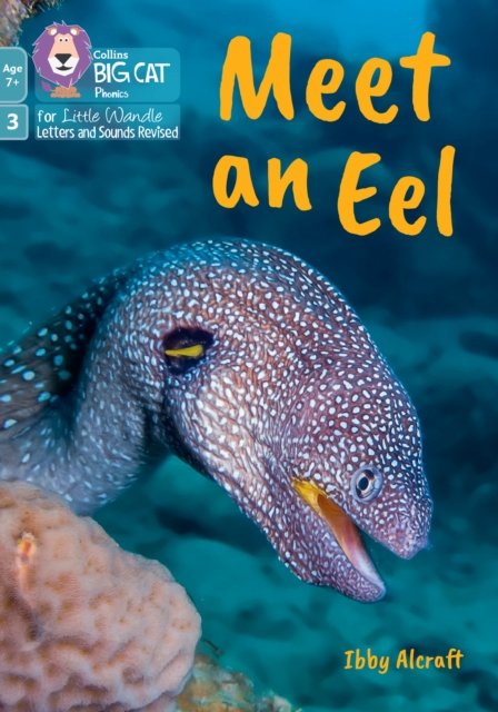 Meet an Eel