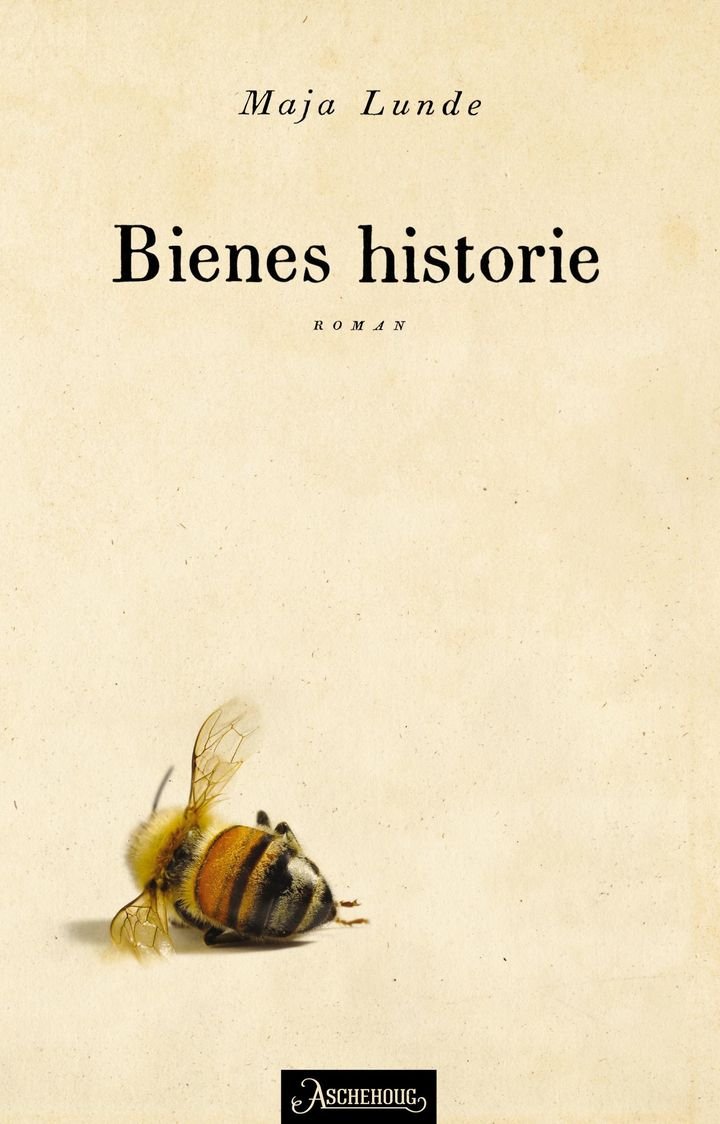 Bienes historie - roman