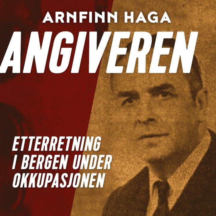 Angiveren - etterretning i Bergen under okkupasjonen