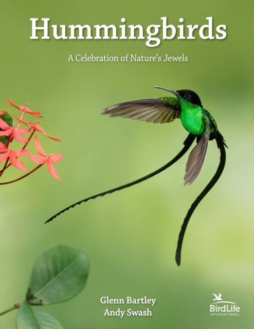 Hummingbirds – A Celebration of Nature's Jewels