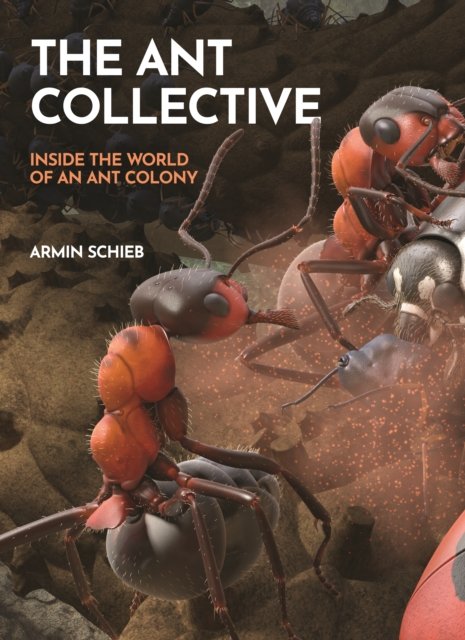 The Ant Collective – Inside the World of an Ant Colony