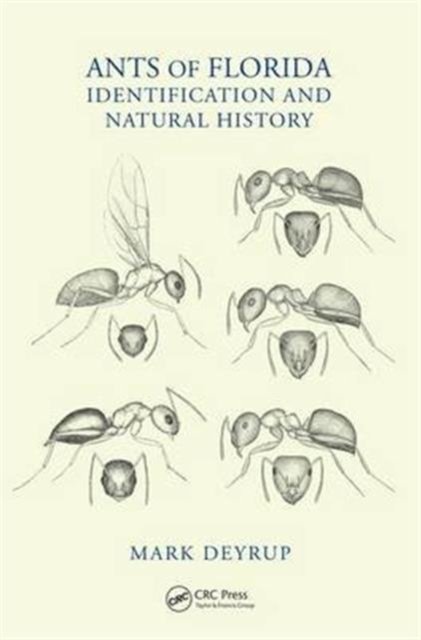 Ants of Florida