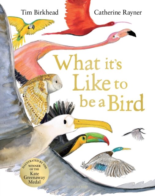 What it''s Like to be a Bird