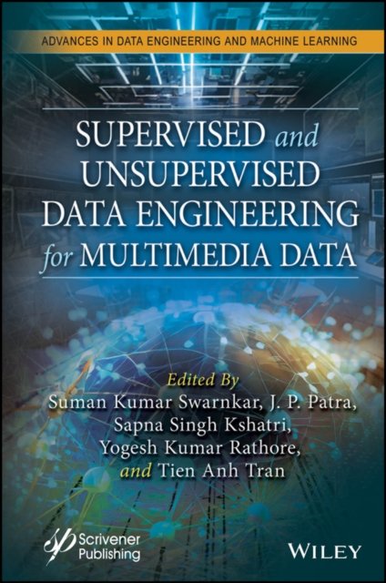 Supervised and Unsupervised Data Engineering for  Multimedia Data