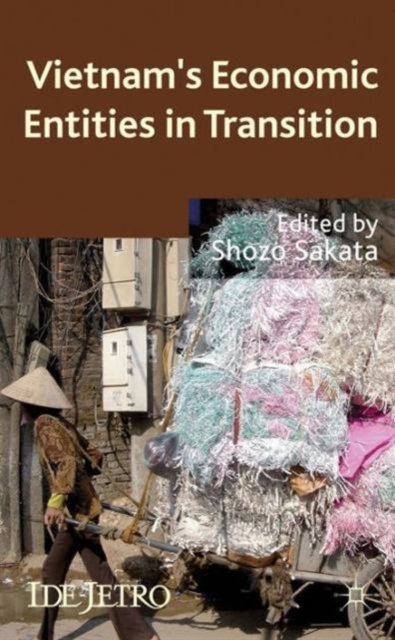 Vietnam''s Economic Entities in Transition