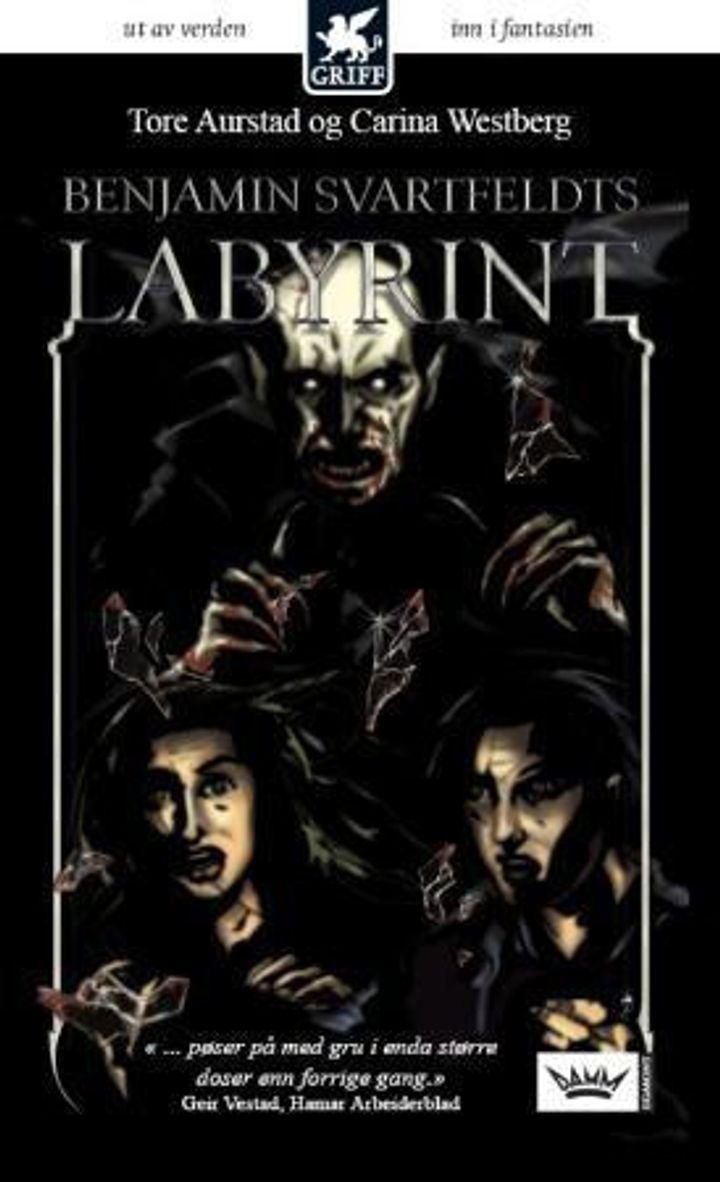 Benjamin Svartfeldts labyrint