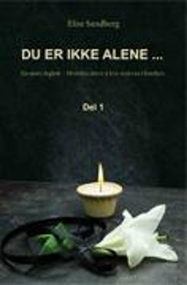 Du er ikke alene- - en mors dagbok : hvordan det er å leve med rus i familien : del 1