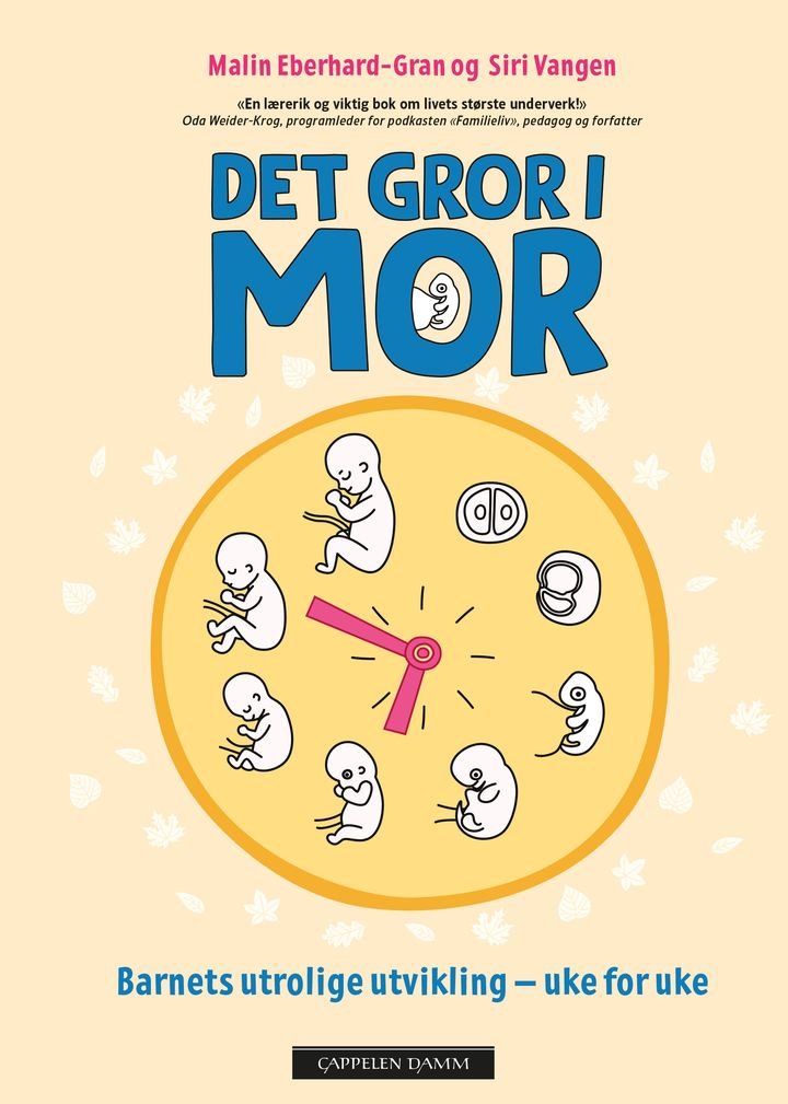Det gror i mor - barnets utrolige utvikling - uke for uke
