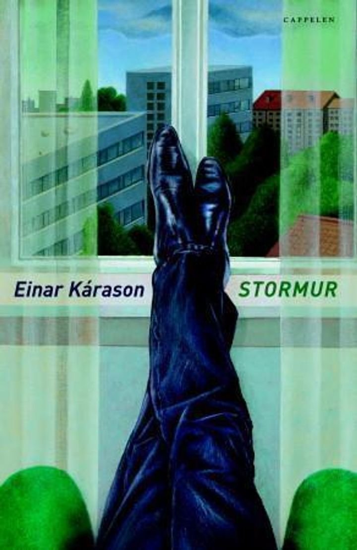 Stormur - roman