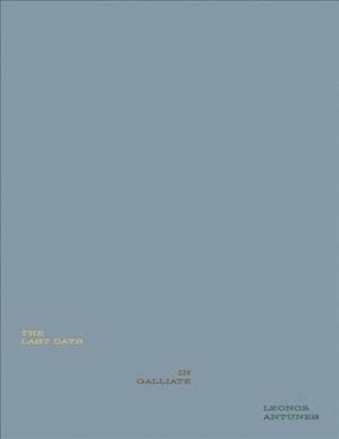 Leonor Antunes: The Last Days in Galliate