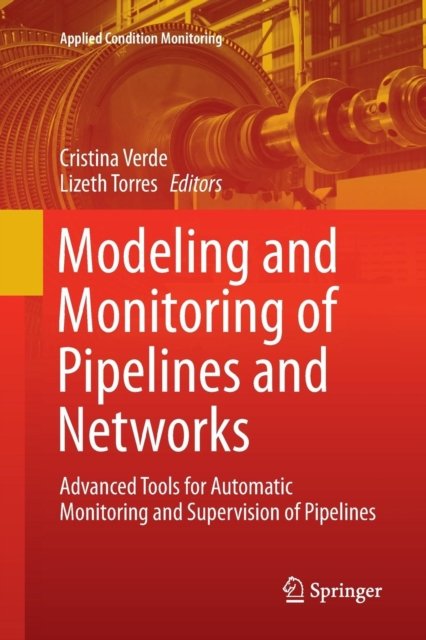 Modeling and Monitoring of Pipelines and Networks