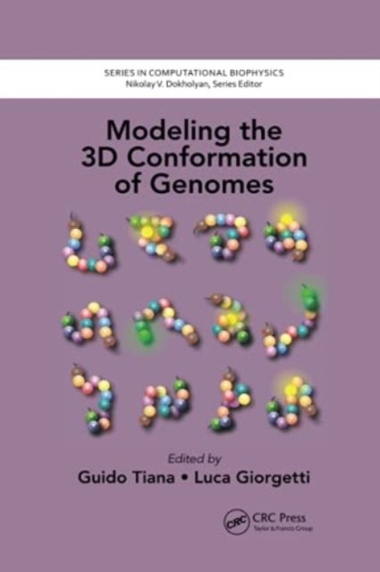 Modeling the 3D Conformation of Genomes