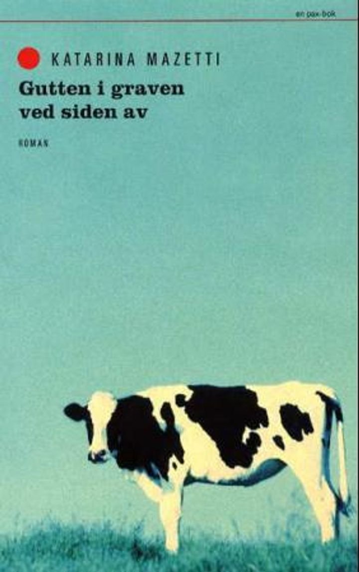 Gutten i graven ved siden av - roman