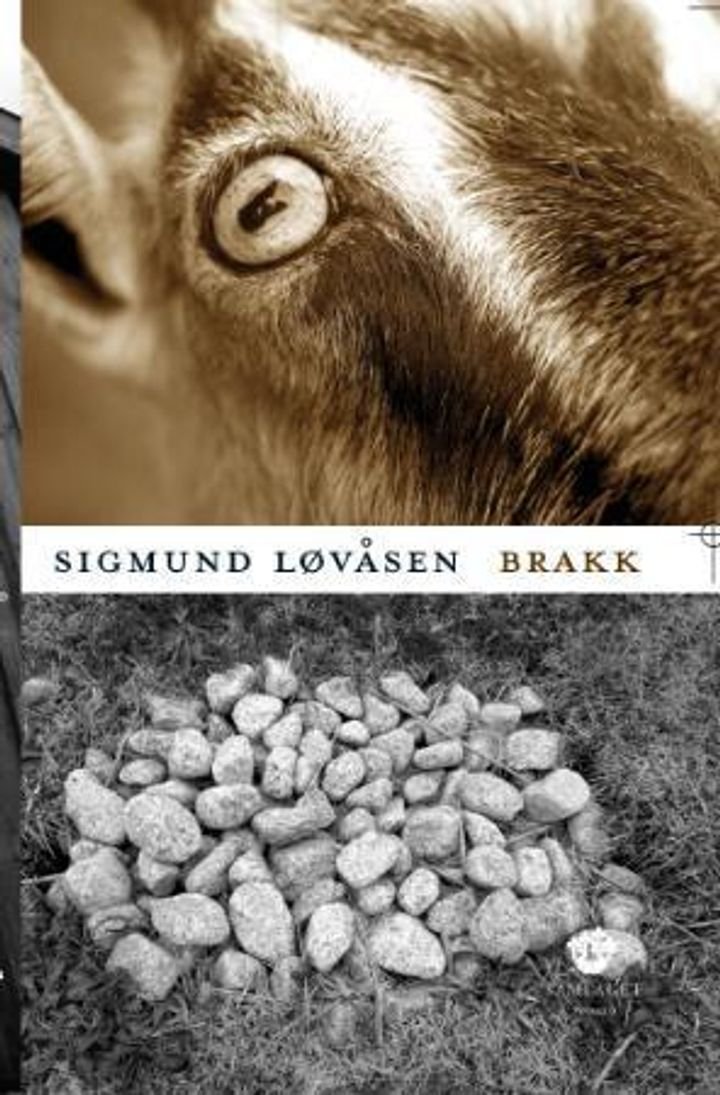 Brakk - roman
