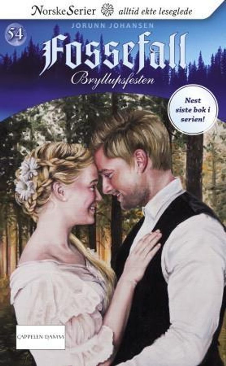 Bryllupsfesten