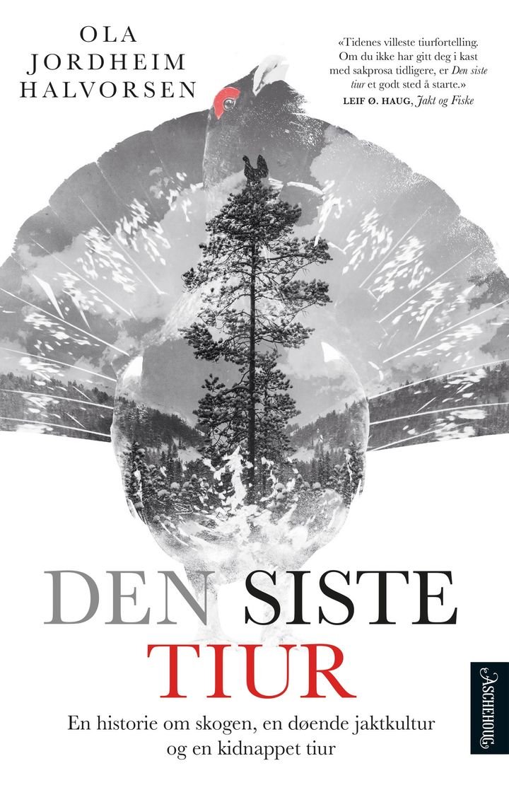 Den siste tiur - på roadtrip nedover Europa med en kidnappet tiur i bagasjen