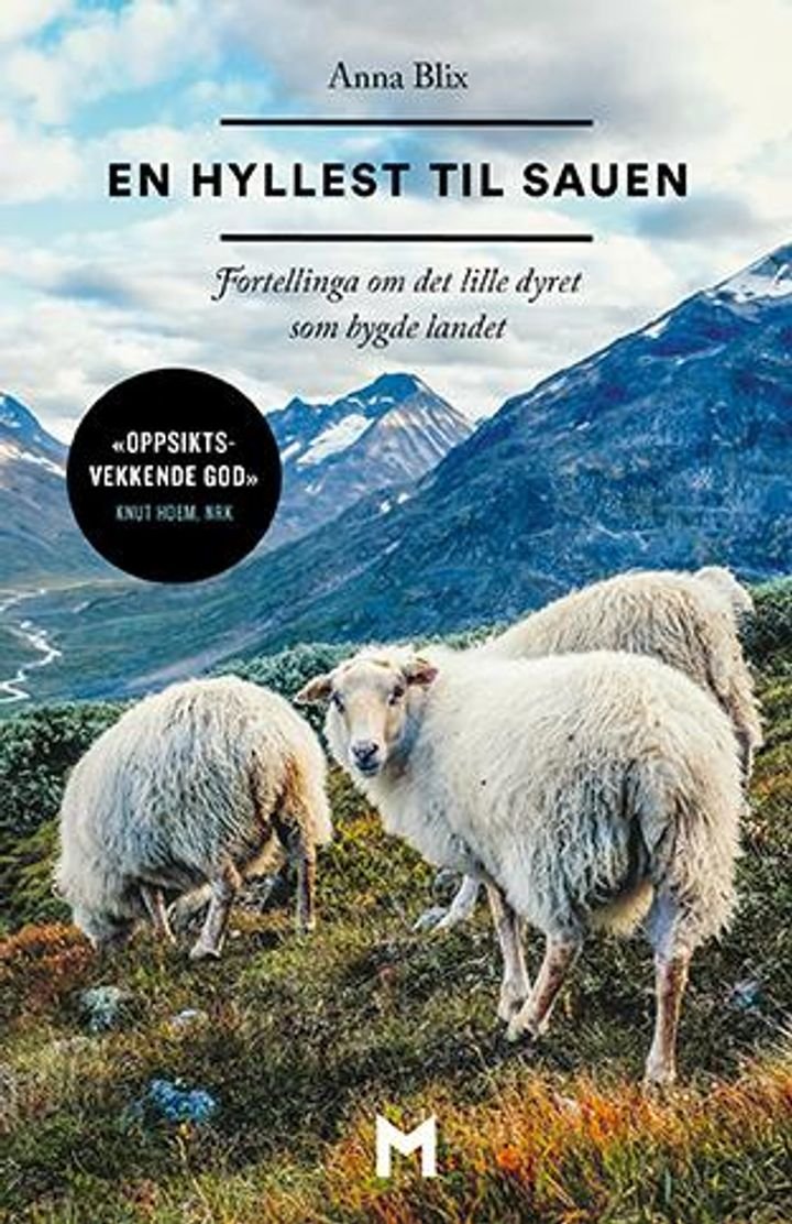 En hyllest til sauen