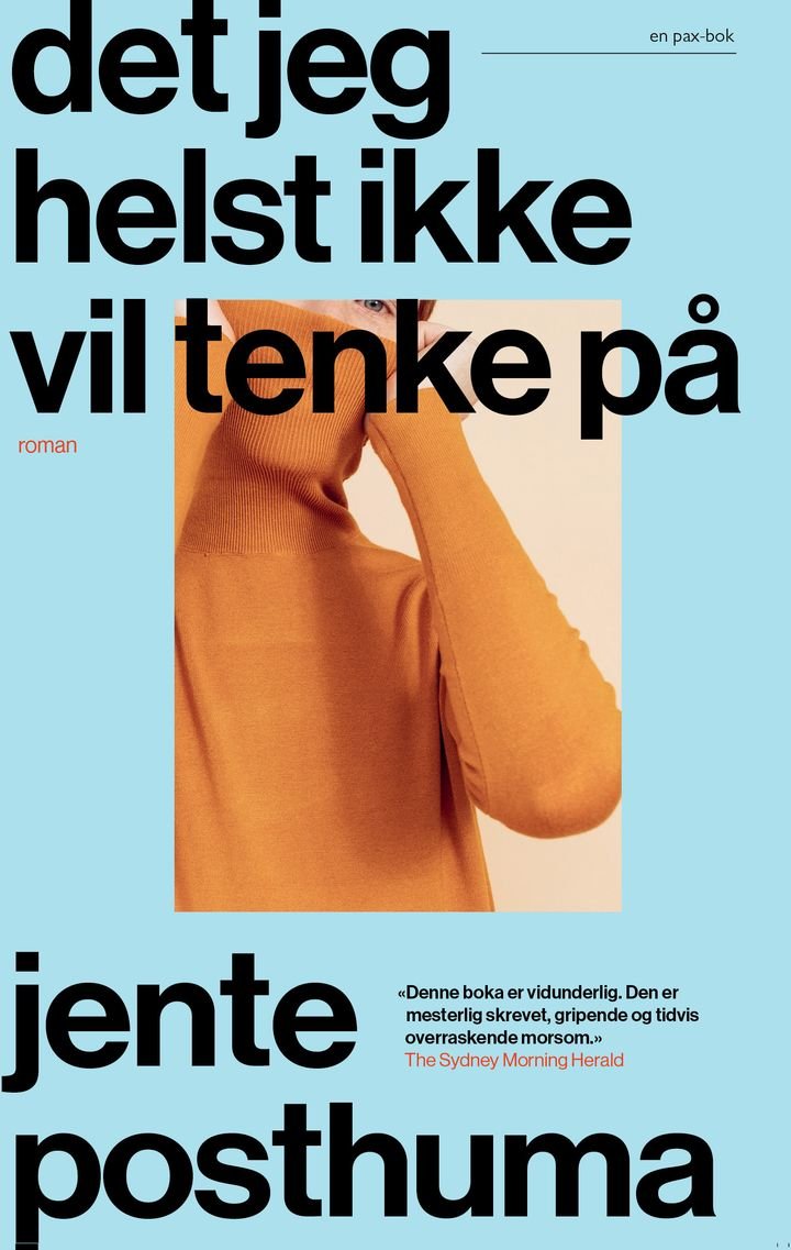 Det jeg helst ikke vil tenke på - roman