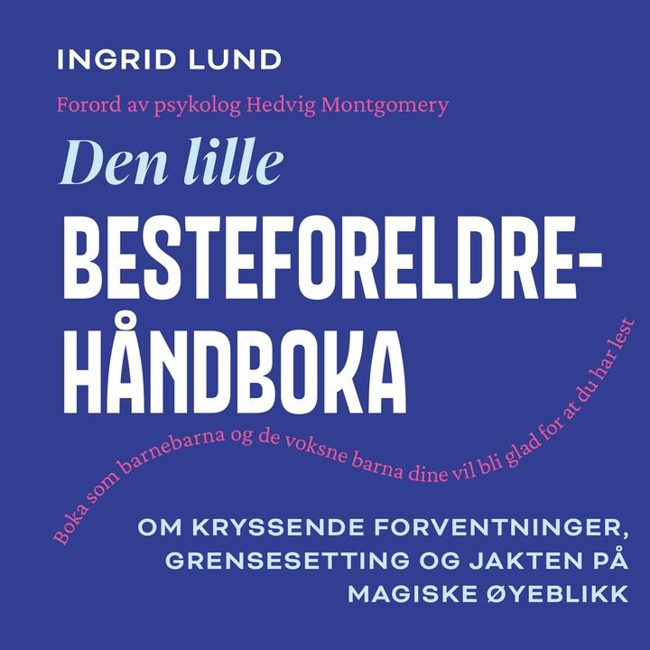Den lille besteforeldrehåndboka - om kryssende forventninger, grensesetting og jakten på magiske øyeblikk