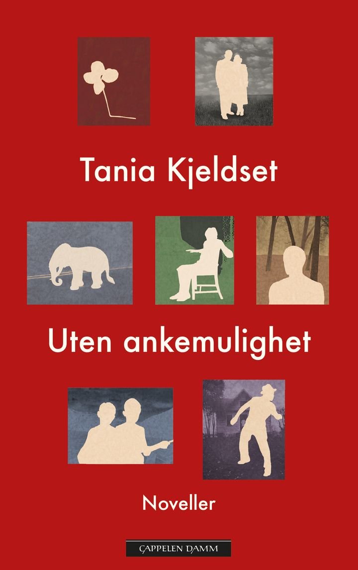 Uten ankemulighet - noveller