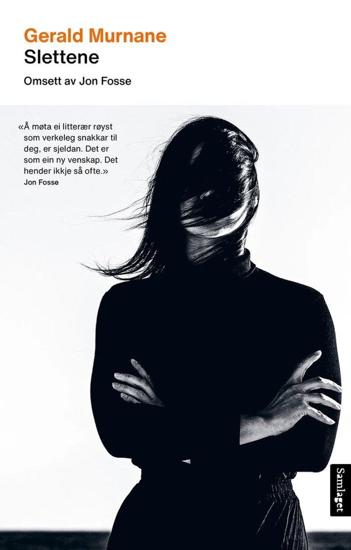Slettene - roman