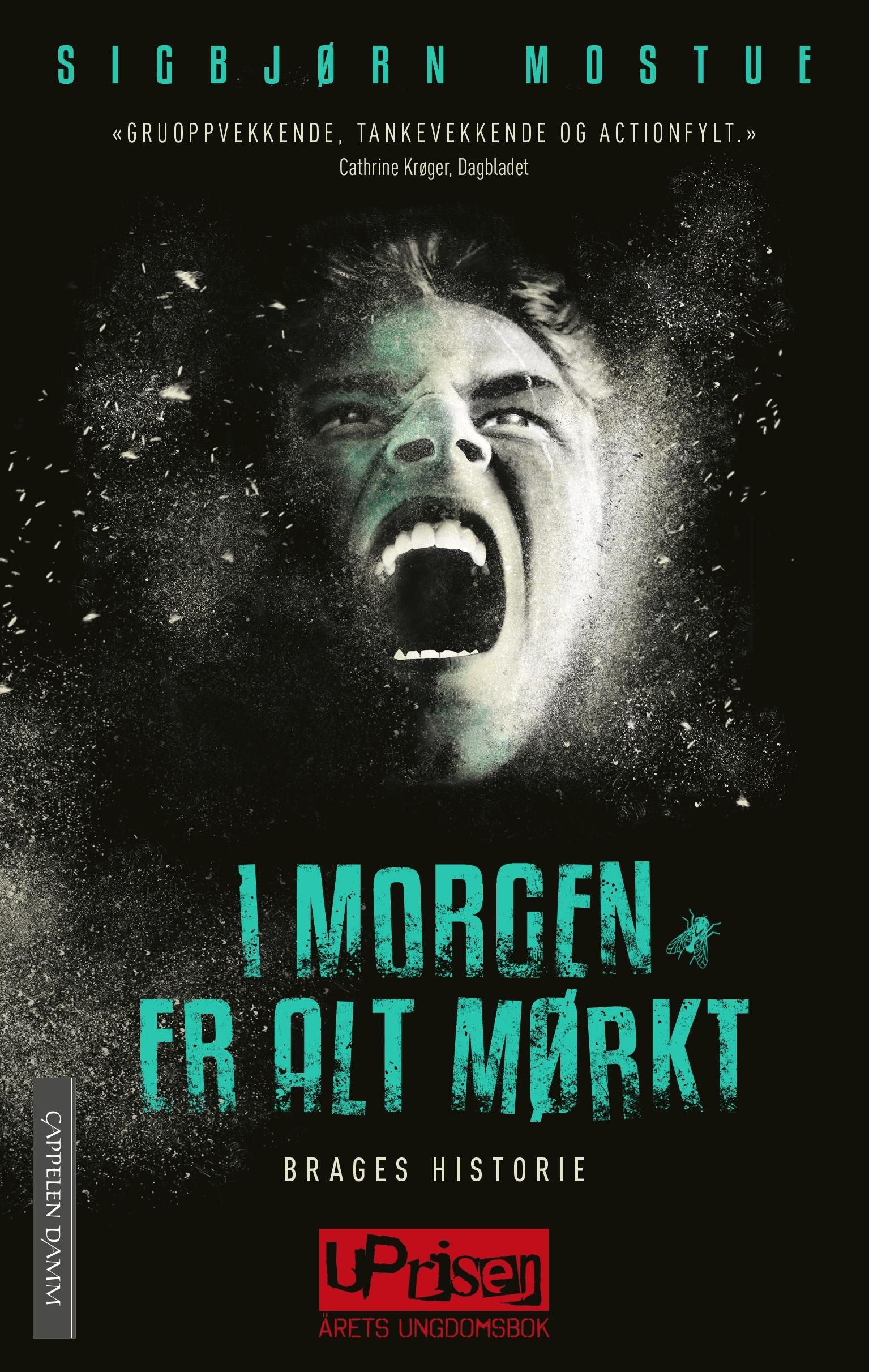 Brages historie av Sigbjørn Mostue