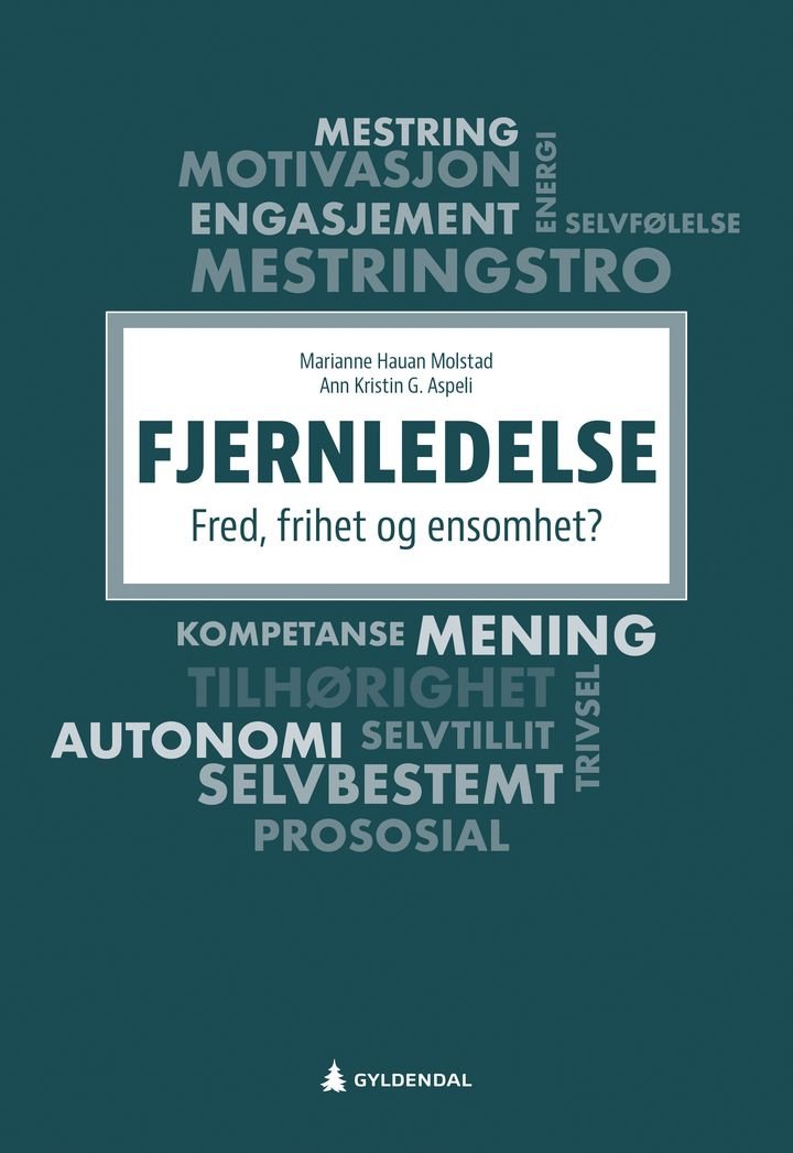 Fjernledelse - fred, frihet og ensomhet?